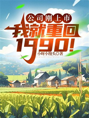 公司刚上市，我就重回1990！