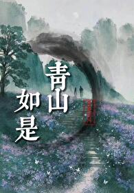 青山如是